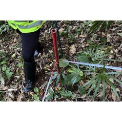 Obra da Ponte de Guaratuba inclui monitoramento da flora para preservação ambiental